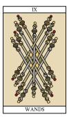 The Nine of Wands